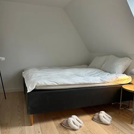 Villa Modern & Unique In Centrum - Free Parking Odense